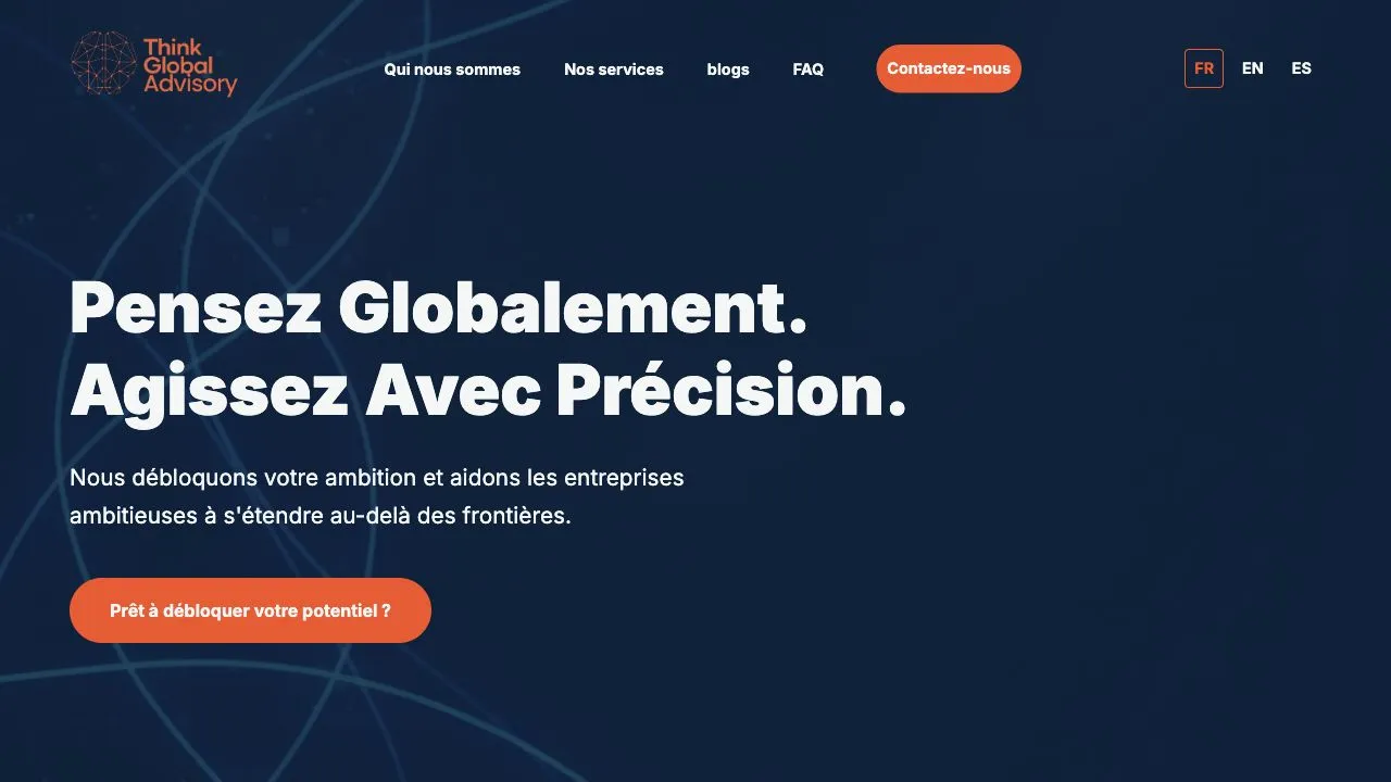 Think Global Advisory, site web
