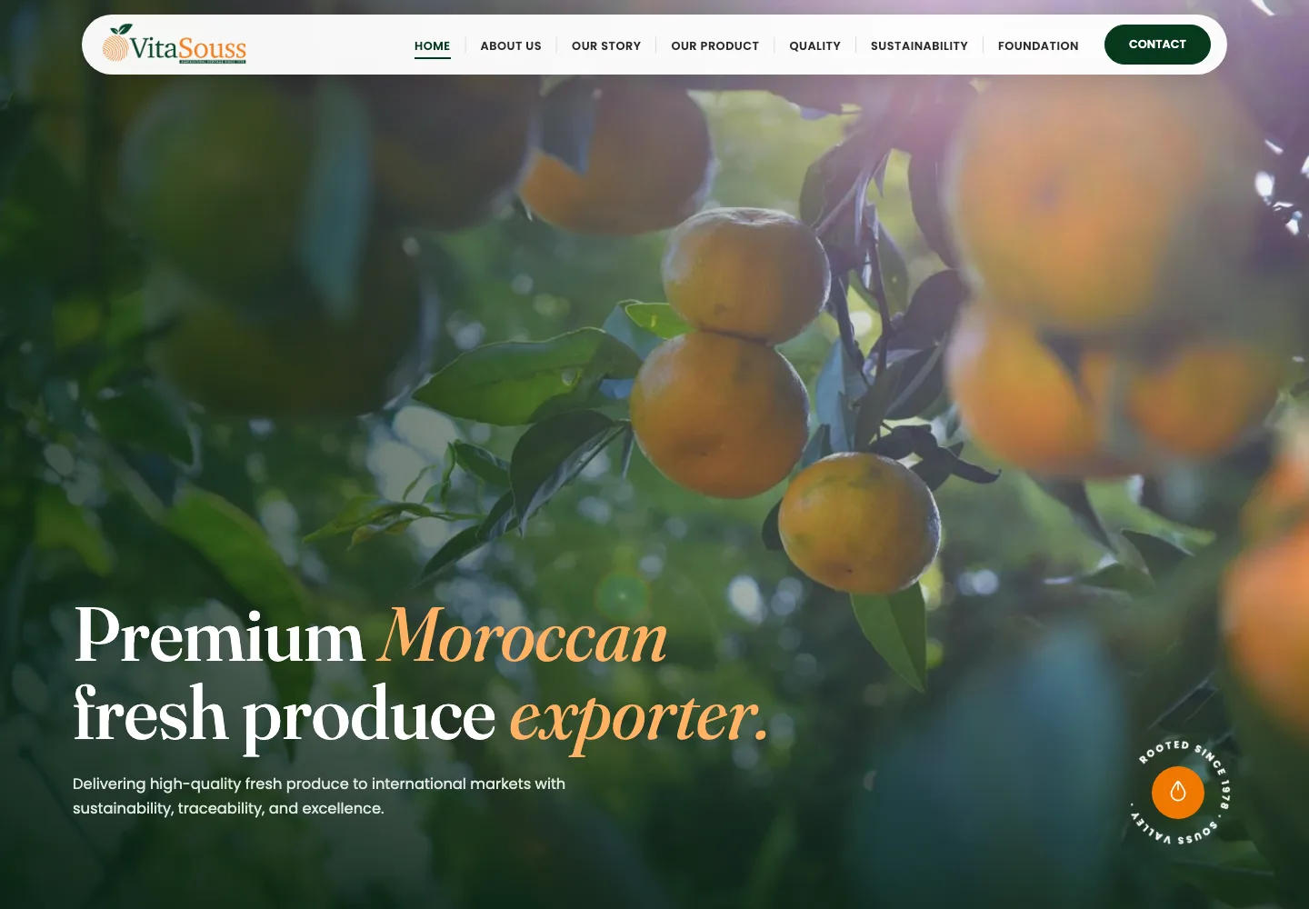 Vitasouss, site web